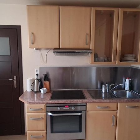 Apartament Czarny Potok Krynica-Zdrój Exteriör bild