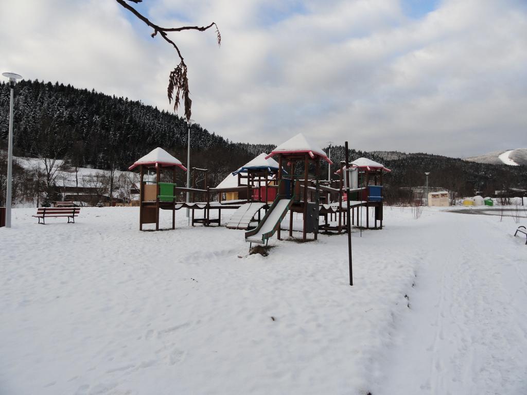 Apartament Czarny Potok Krynica-Zdrój Rum bild