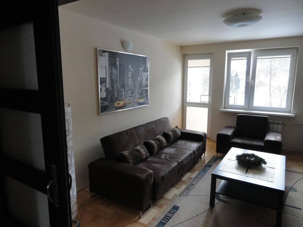 Apartament Czarny Potok Krynica-Zdrój Rum bild