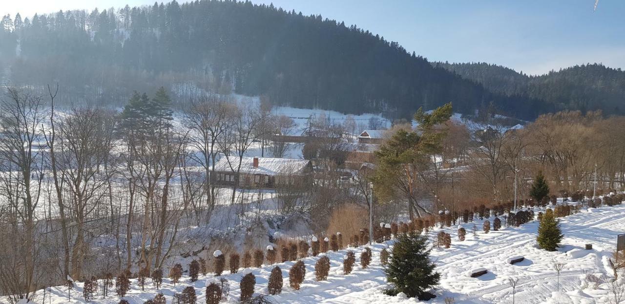 Apartament Czarny Potok Krynica-Zdrój Exteriör bild